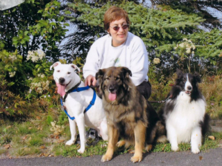 Animal Therapy Team Connecticut
